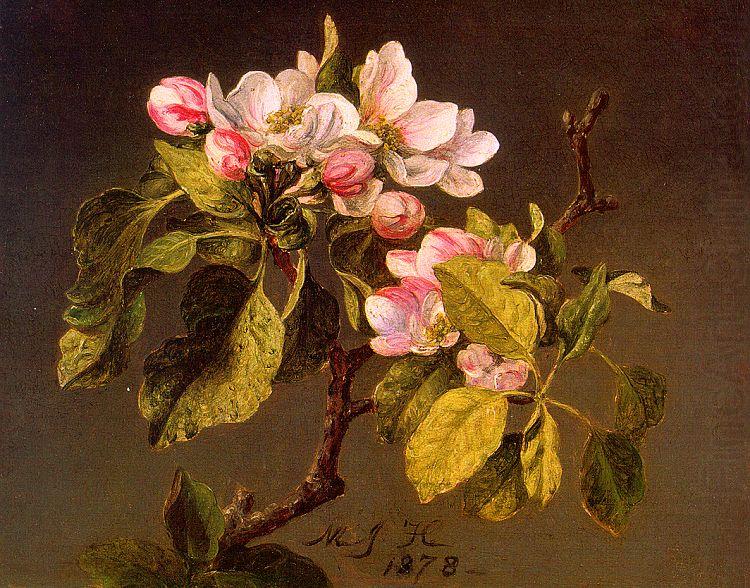 Apple Blossoms, Martin Johnson Heade